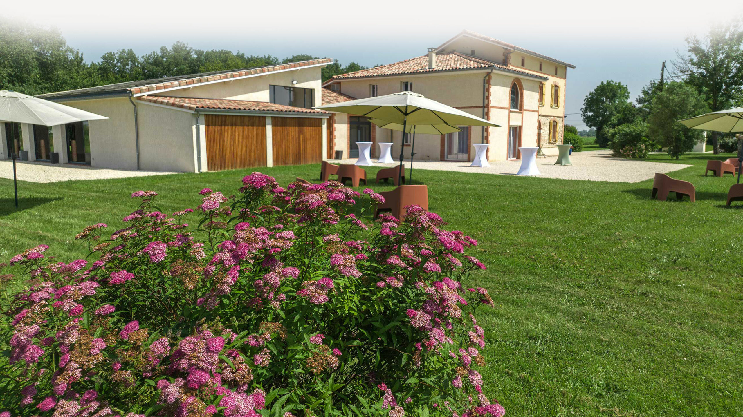 Domaine-LeCharriquet-DJI_0752-bis-DegradeCiel